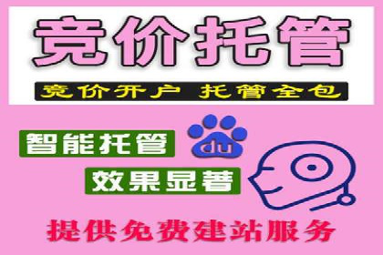 搜索开户返点揭秘：成功案例分享